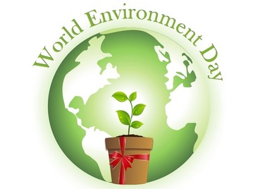 World Environment Day 23 366x268